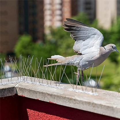 Anti-bird Thorn Nail Kit | Anti Pigeon Spikes