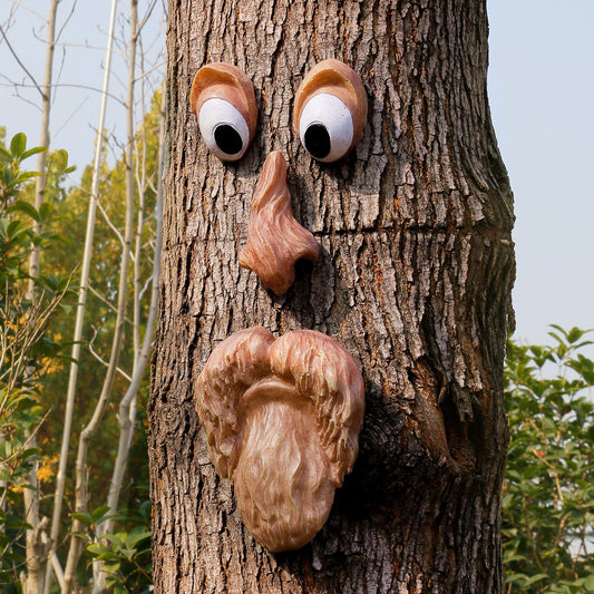 Funny Old Man Tree Face: A Timeless Garden Companion