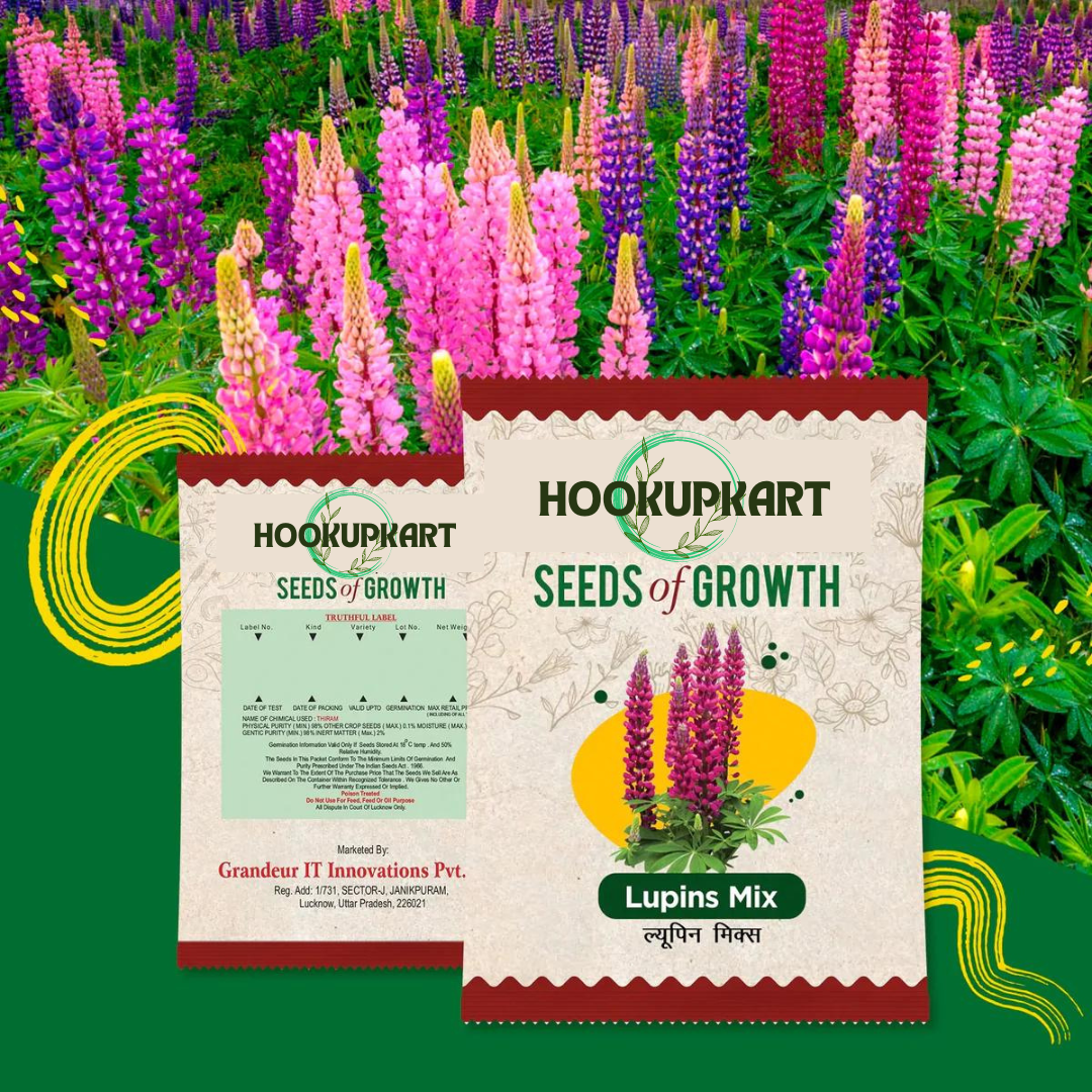 Vibrant Lupine Mixed Color Flower Seeds