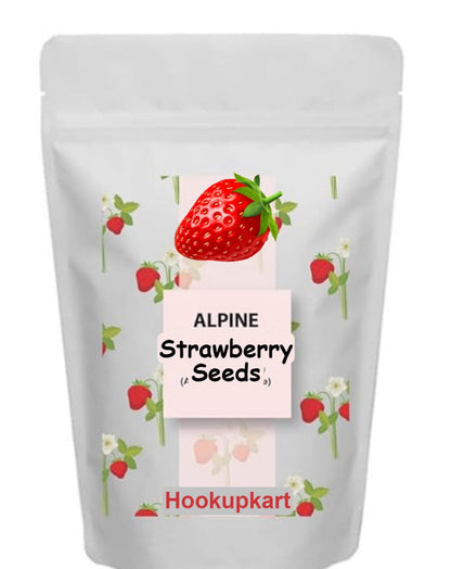 Hybrid Sugar Sweet Strawberry Seeds hookupcart