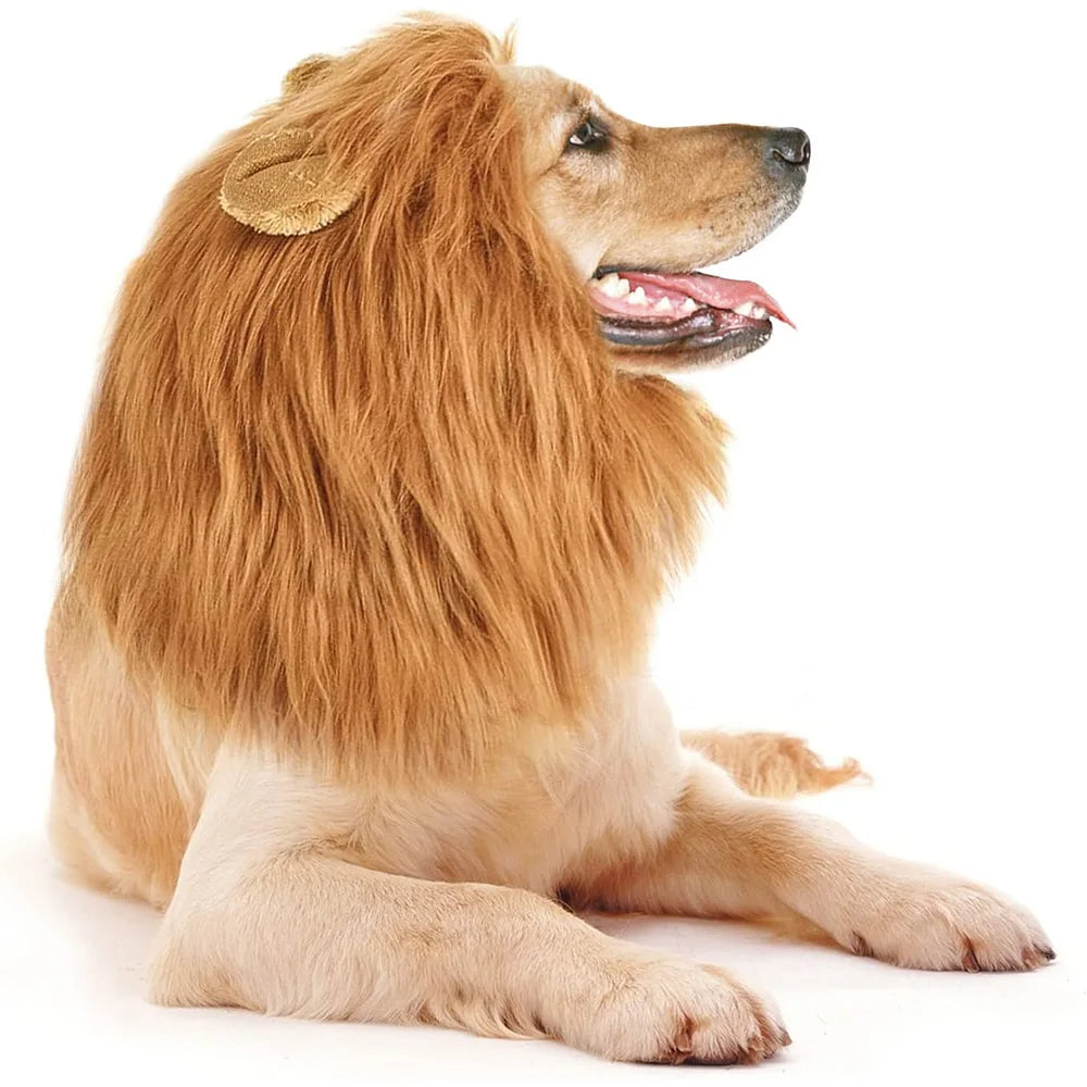 Universal Cute Dog Lion Mane | Realistic Lion Wig For Medium to Large Dogs With Ear