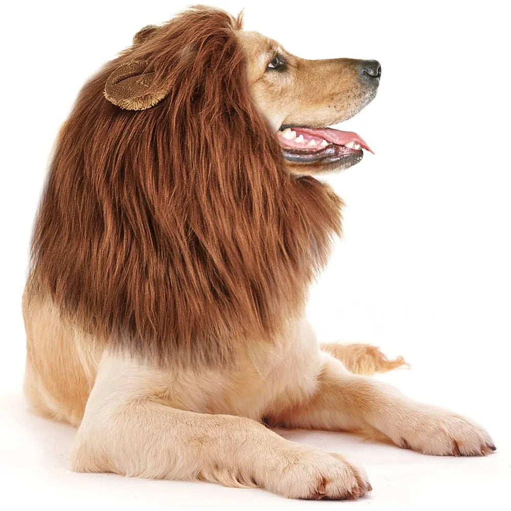 Universal Cute Dog Lion Mane | Realistic Lion Wig For Medium to Large Dogs With Ear