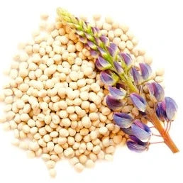 Vibrant Lupine Mixed Color Flower Seeds